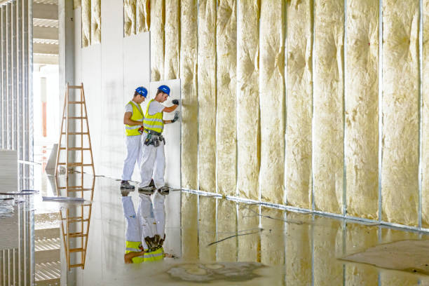 Best Insulation Maintenance and Repair in Temple, TX